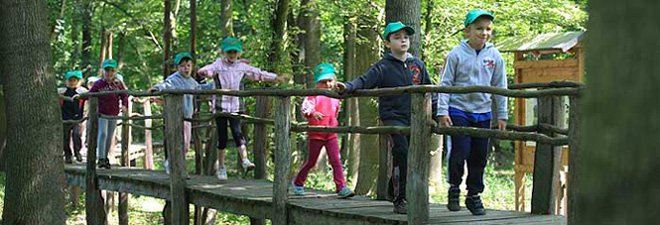 Der Wald-Endeckerparadies für Kinder