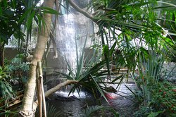 Biosphäre Potsdam Wasserfall