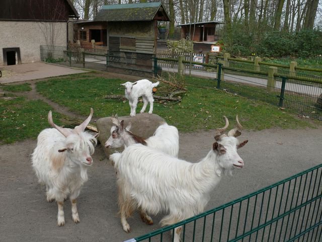 Tierpark Bierer Berg