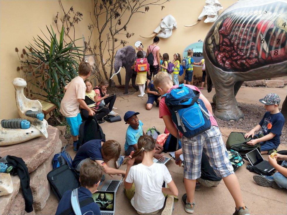 Zooprojekt an der Dreisprachigen Internationalen Grundschule