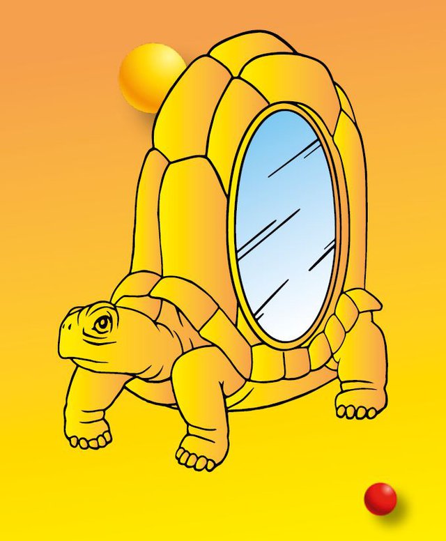 Von Spiegeln und Schildkröten